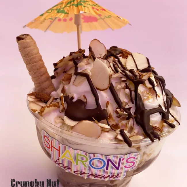 sharon's icecreams